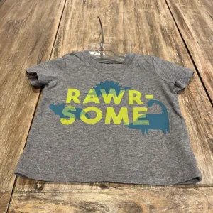 Carters Cotton Grey 'rawr-some' Tshirt 3-6m