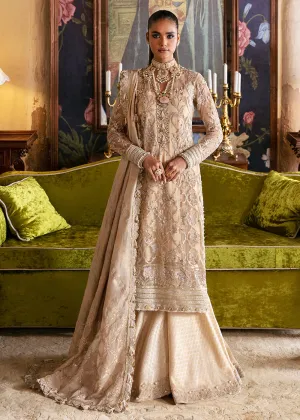 Hayat Wedding Formals 23 by Afrozeh | Sabat