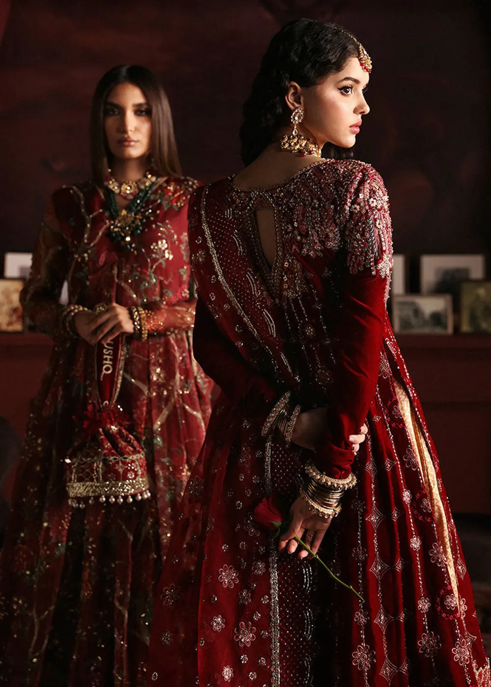 Niloufer Velvet Edit '23 by Mushq | FARAH